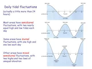 Daily tidal fluctuations (actually a little more than 24 hours)