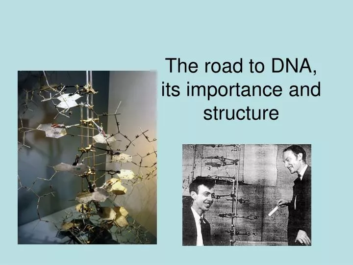 the road to dna its importance and structure