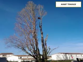 avant travaux