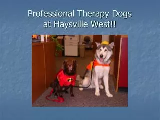 Professional Therapy Dogs at Haysville West!!
