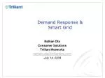 Demand Response &amp; Smart Grid - slide 1