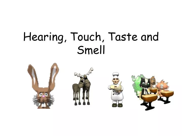 hearing touch taste and smell