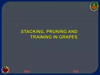 STACKING, PRUNING AND TRAINING IN GRAPES