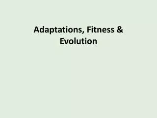 Adaptations, Fitness &amp; Evolution