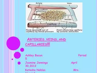 Arteries,veins,and capillaries!!!