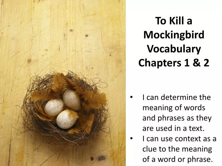to kill a mockingbird vocabulary chapters 1 2