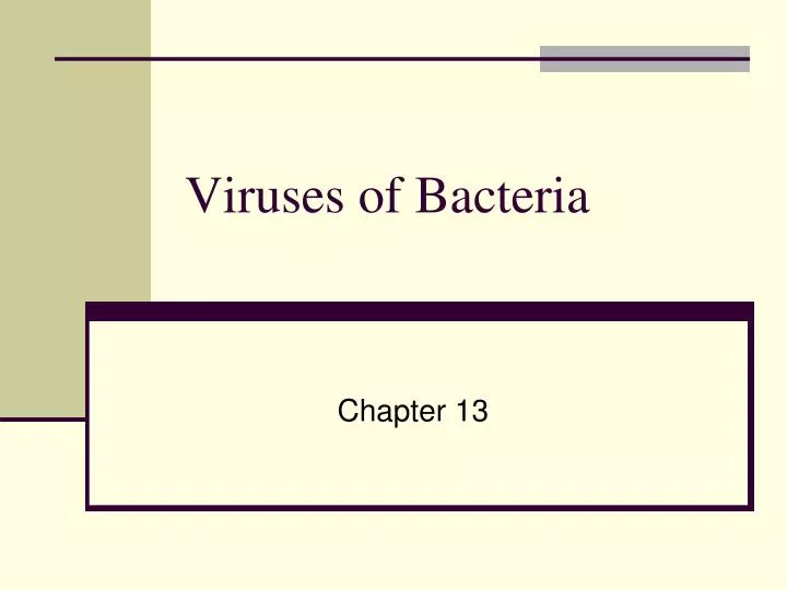 viruses of bacteria