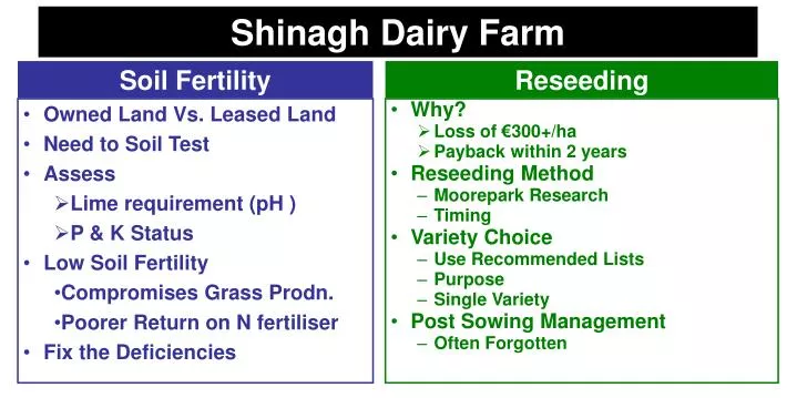shinagh dairy farm