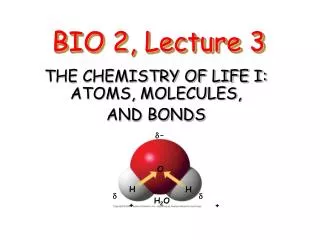 BIO 2, Lecture 3