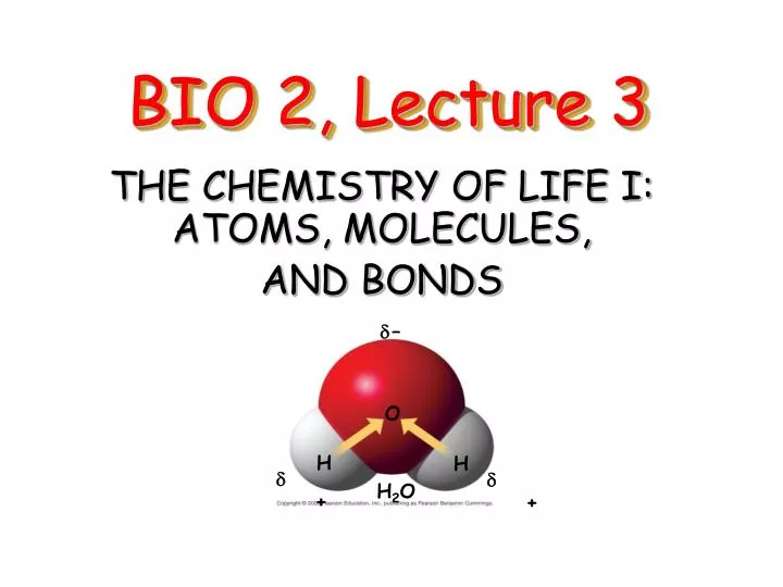 bio 2 lecture 3