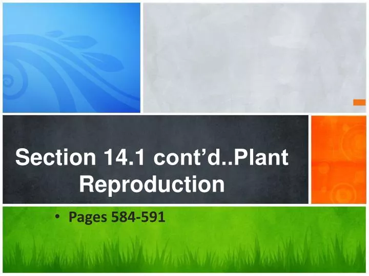 section 14 1 cont d plant reproduction