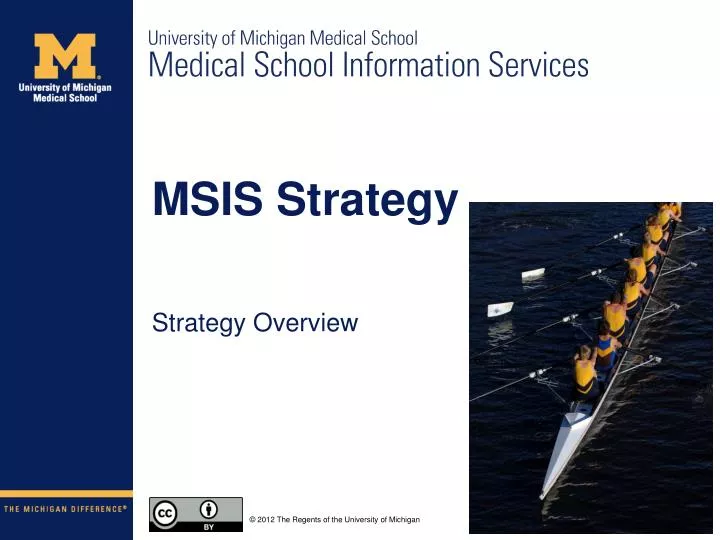 msis strategy