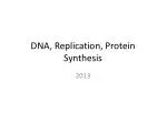 DNA, Replication, Protein Synthesis