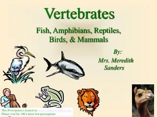Fish, Amphibians, Reptiles, Birds, &amp; Mammals