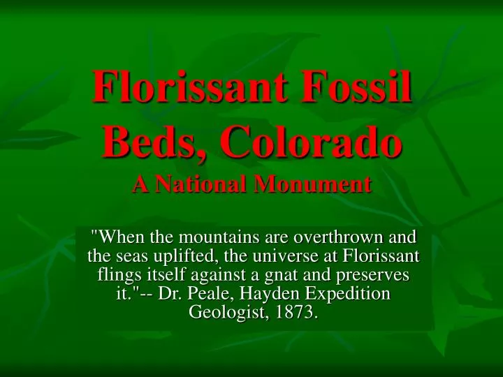 florissant fossil beds colorado a national monument