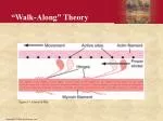 “Walk-Along” Theory - slide 1