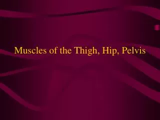 Muscles of the Thigh, Hip, Pelvis