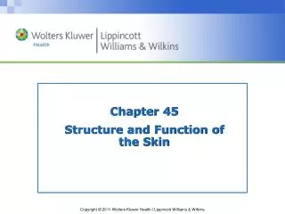 Chapter 45 Structure and Function of the Skin
