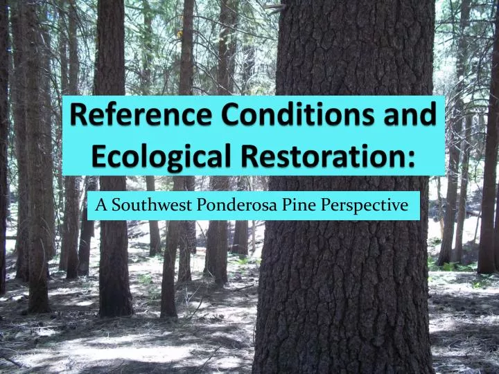 reference conditions and ecological restoration