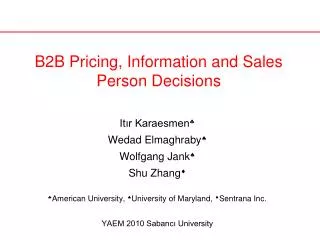 B2B Pricing, Information and Sales Person Decisions