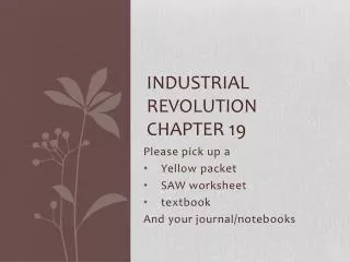 Industrial Revolution Chapter 19
