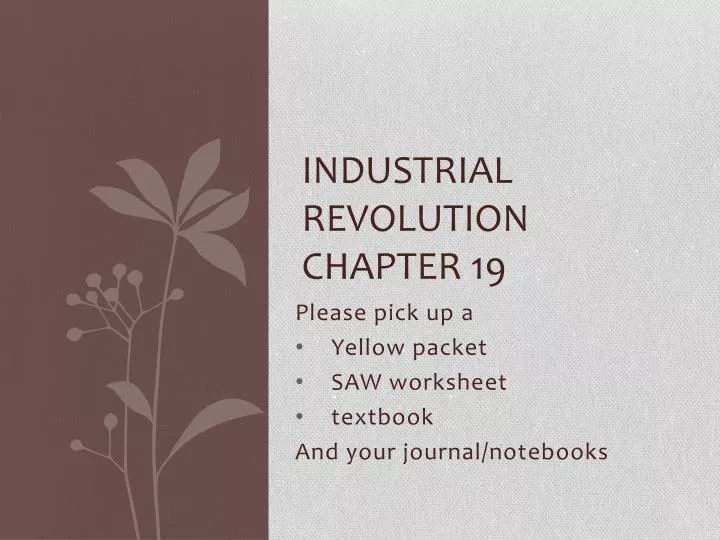 industrial revolution chapter 19