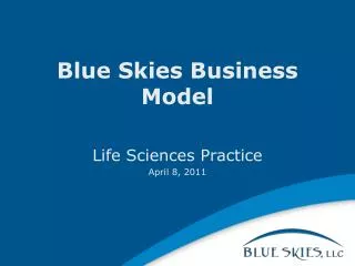 Blue Skies Business Model
