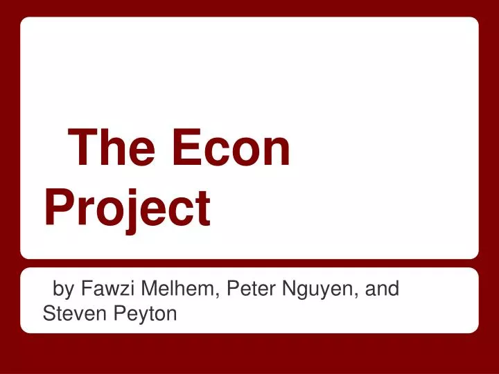the econ project