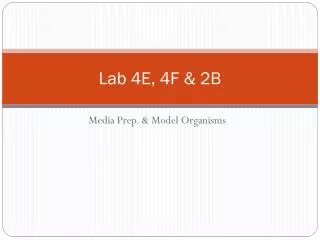 Lab 4E, 4F &amp; 2B