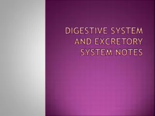 Digestive System and Excretory system Notes
