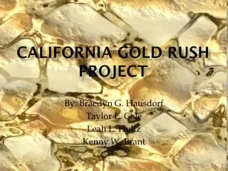 California Gold Rush Project