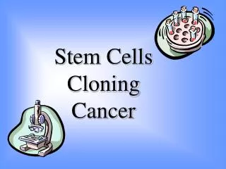 stem cells cloning cancer