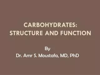 Carbohydrates: structure and Function