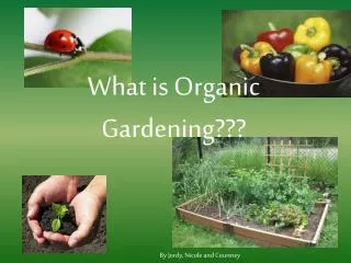 What is Organic Gardening???