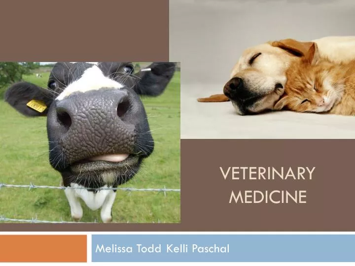 veterinary medicine