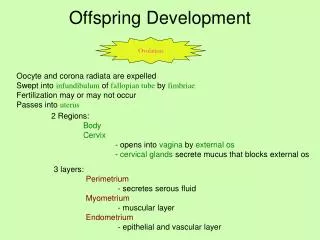 Offspring Development