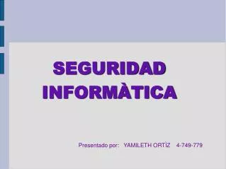 seguridad inform tica