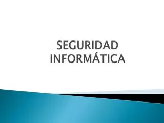 seguridad inform tica