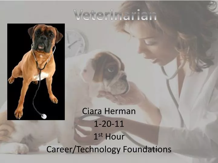 ciara herman 1 20 11 1 st hour career technology foundations