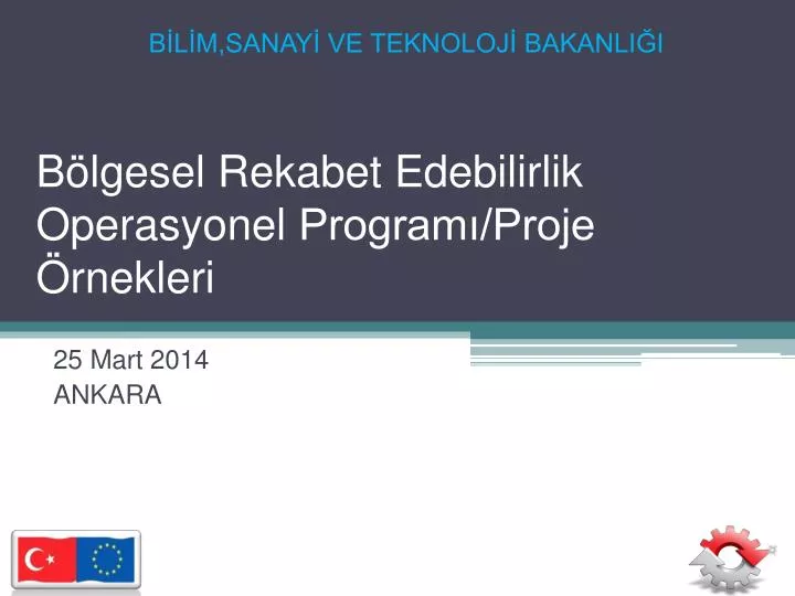 b lgesel rekabet edebilirlik operasyonel program proje rnekleri