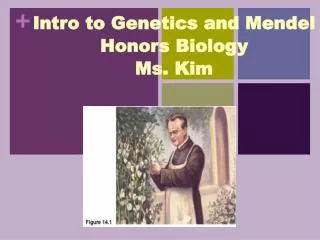 Intro to Genetics and Mendel Honors Biology Ms. Kim