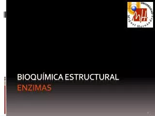 bioqu mica estructural enzimas
