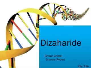 dizaharide