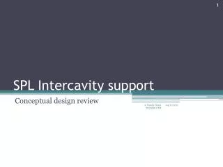 SPL Intercavity support