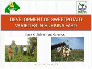 DEVELOPMENT OF SWEETPOTATO VARIETIES IN BURKINA FASO