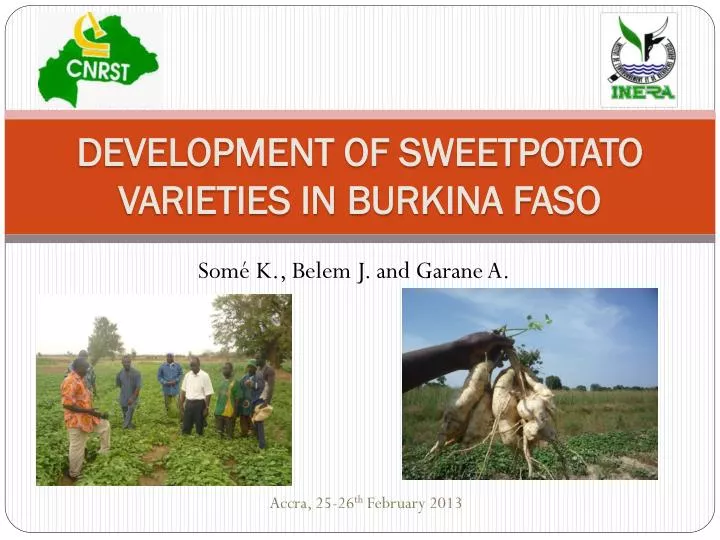 development of sweetpotato varieties in burkina faso