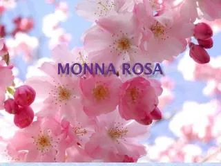 monna rosa