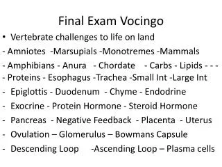 final exam vocingo