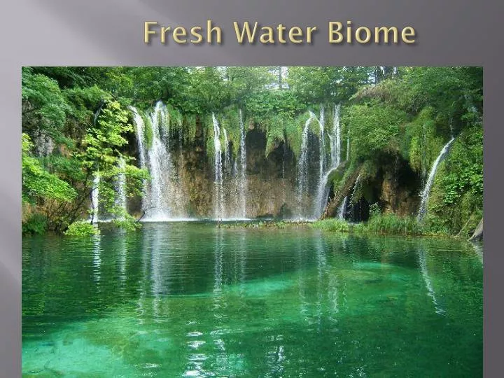 fresh water biome