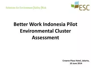 Better Work Indonesia Pilot Environmental Cluster Assessment